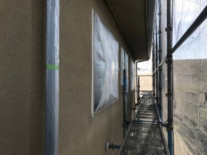 三河西尾市外壁コケ除去作業