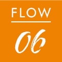 FLOW06