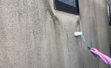 愛知県西三河西尾市外壁超低汚染無機フッ素塗装色褪せクラック汚れ藻欠けバイオ洗浄