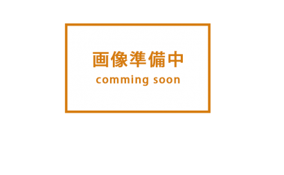 愛知県西三河西尾市安城市外壁塗装屋根塗装太陽光高反射遮熱塗装色褪せ欠けクラック汚れ屋根塗料上塗り使用後