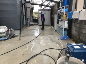 西尾市駐車場土間のコケ落とし