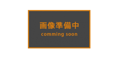 愛知県西三河東三河西尾市マンション塗替え外壁超低汚染遮熱シリコン塗装ミッドビスケット下塗り使用後