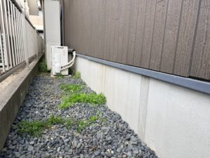 ギャラリー